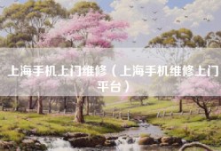 上海手机上门维修（上海手机维修上门平台）