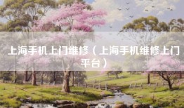 上海手机上门维修（上海手机维修上门平台）