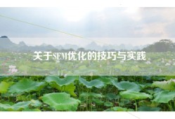 关于SEM优化的技巧与实践