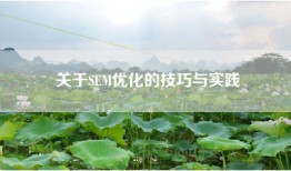 关于SEM优化的技巧与实践