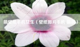 萌壁纸手机女生（壁纸图片手机 萌萌）