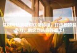 沈阳网站关键词优化秘籍，打造独特竞争力，助您网站脱颖而出！