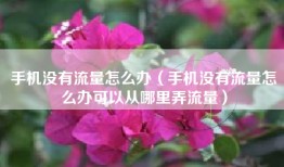 手机没有流量怎么办（手机没有流量怎么办可以从哪里弄流量）