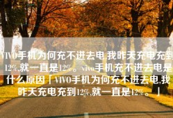 VIVO手机为何充不进去电,我昨天充电充到12%,就一直是12%。vivo手机充不进去电是什么原因「VIVO手机为何充不进去电,我昨天充电充到12%,就一直是12%。」