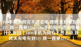 VIVO手机为何充不进去电,我昨天充电充到12%,就一直是12%。vivo手机充不进去电是什么原因「VIVO手机为何充不进去电,我昨天充电充到12%,就一直是12%。」