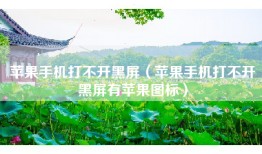 苹果手机打不开黑屏（苹果手机打不开黑屏有苹果图标）