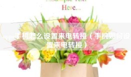 oppo手机怎么设置来电转接（手机如何设置来电转接）