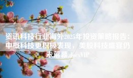 资讯科技行业海外2025年投资策略报告：中概科技更积极表现，美股科技盛宴仍未落幕.docxVIP
