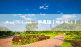 Arial-Blackwindows7手机版「Arial-Black」