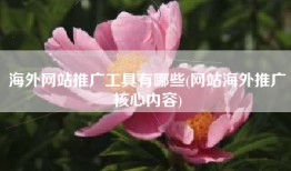 海外网站推广工具有哪些(网站海外推广核心内容)