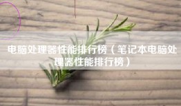 电脑处理器性能排行榜（笔记本电脑处理器性能排行榜）