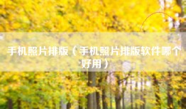 手机照片排版（手机照片排版软件哪个好用）