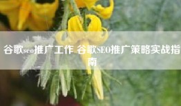 谷歌seo推广工作 谷歌SEO推广策略实战指南