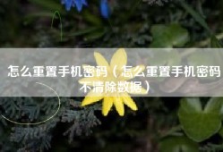 怎么重置手机密码（怎么重置手机密码不清除数据）