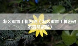 怎么重置手机密码（怎么重置手机密码不清除数据）
