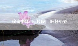 玫瑰少年(Live片段) - 旺仔小乔