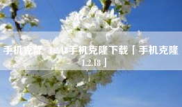 手机克隆  1.2.18手机克隆下载「手机克隆  1.2.18」