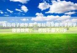 青岛母子被杀案：年轻母亲被儿子同学侵害致死，三名凶手最大16岁