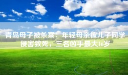 青岛母子被杀案：年轻母亲被儿子同学侵害致死，三名凶手最大16岁