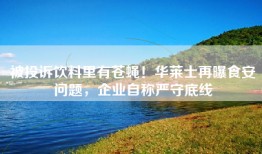被投诉饮料里有苍蝇！华莱士再曝食安问题，企业自称严守底线