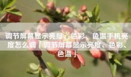 调节屏幕显示亮度、色彩、色温手机亮度怎么调「调节屏幕显示亮度、色彩、色温」