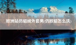欧洲站仿貂绒外套男(仿欧貂怎么洗)