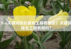 Wish关键词排名查询工具有哪些？关键词排名工具有用吗？