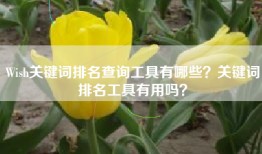 Wish关键词排名查询工具有哪些？关键词排名工具有用吗？