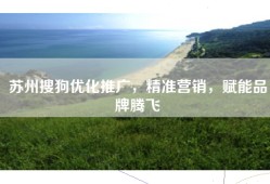 苏州搜狗优化推广，精准营销，赋能品牌腾飞