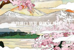 内网端口 转发 穿透 工具简介
