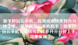 新手秒玩云手机，应用或游戏多开分分钟上手，简单实用云手机助手「新手秒玩云手机，应用或游戏多开分分钟上手，简单实用」