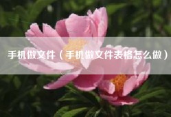 手机做文件（手机做文件表格怎么做）