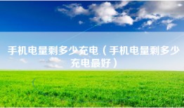 手机电量剩多少充电（手机电量剩多少充电最好）