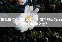 建站推广公司那么多，为何它能成为30000+企业的信赖之选？
