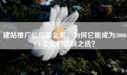 建站推广公司那么多，为何它能成为30000+企业的信赖之选？