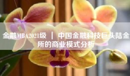 金融MBA2021级 ｜ 中国金融科技巨头陆金所的商业模式分析