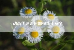 动态代理如何加强线上安全