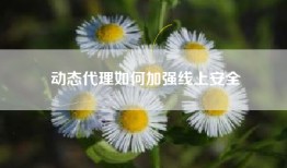 动态代理如何加强线上安全