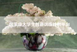 国家级大学生创新训练计划平台
