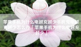 苹果手机为什么电越充越少手机充电越充越少怎么办「苹果手机为什么电越充越少」