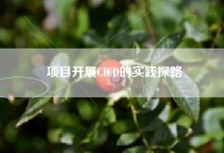 项目开展CICD的实践探路