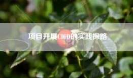 项目开展CICD的实践探路