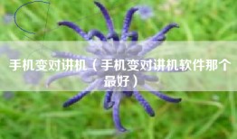 手机变对讲机（手机变对讲机软件那个最好）