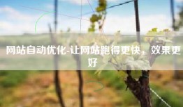 网站自动优化-让网站跑得更快，效果更好