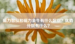 磁力智投和磁力金牛有什么区别？优势分别有什么？