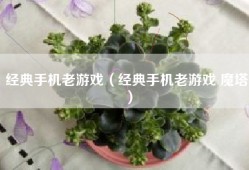 经典手机老游戏（经典手机老游戏 魔塔）