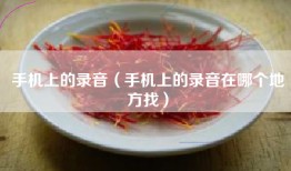 手机上的录音（手机上的录音在哪个地方找）