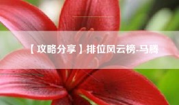 【攻略分享】排位风云榜-马腾
