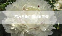 不收费推广网站有哪些
