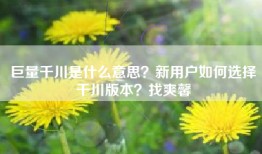 巨量千川是什么意思？新用户如何选择千川版本？找爽馨